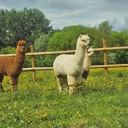 A La Ferme Lejlighed *