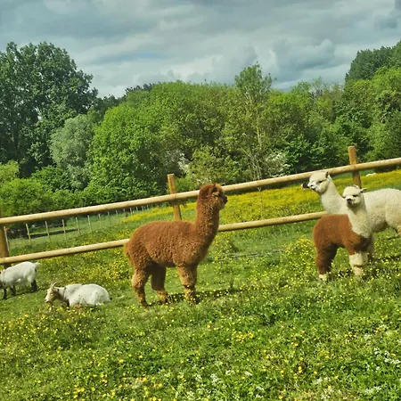 アパート A La Ferme Béthune